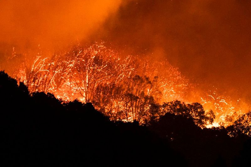 Пожежі в Каліфорнії: троє загиблих та тисячі евакуйованих