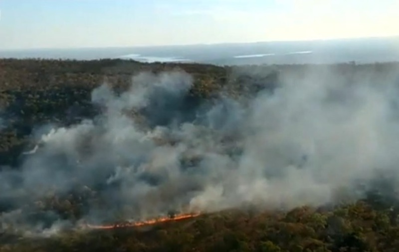 В Амазонському лісі — рекордна кількість пожеж