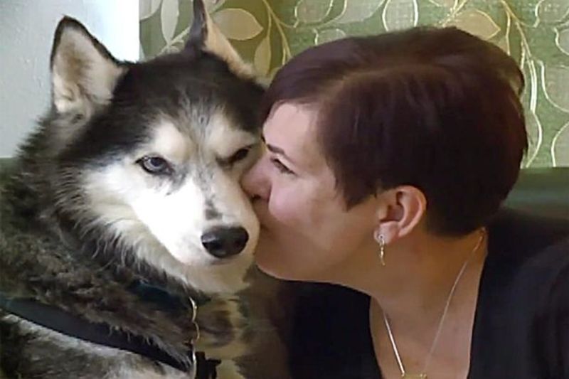 Собака "діагностував" рак в американки завдяки нюху