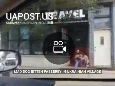 Mad dog bitten passerby in Ukrainian Village